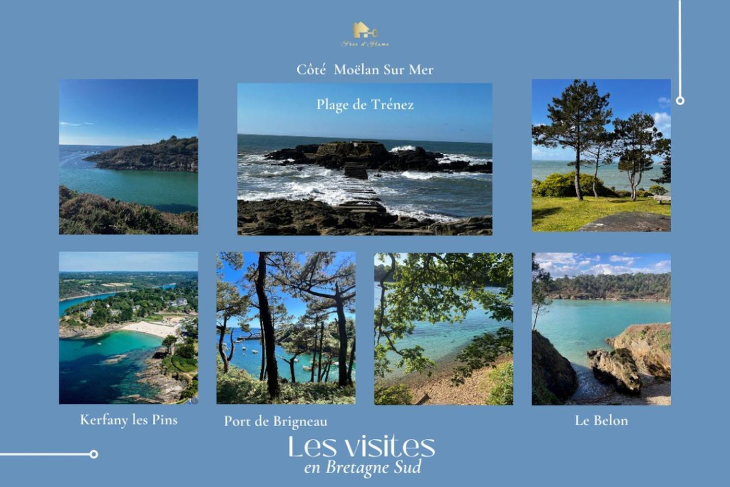 La Maison Bleue,Authenticite, Nature, Simplicite, 2-5 Personnes, Moelan Sur Mer Экстерьер фото