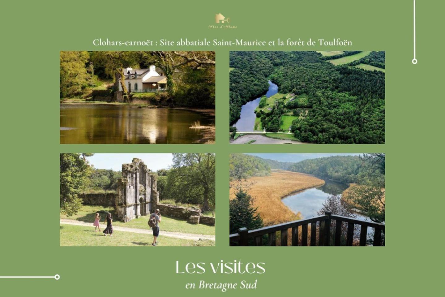 La Maison Bleue,Authenticite, Nature, Simplicite, 2-5 Personnes, Moelan Sur Mer Экстерьер фото